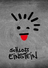 Schloss Einstein - Staffel 12