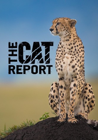 The Cat Report
