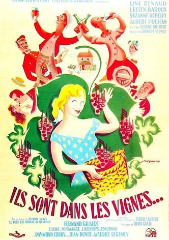 Ils sont dans les vignes...