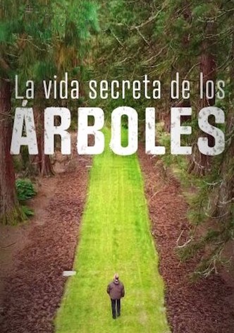 La vida secreta de los árboles