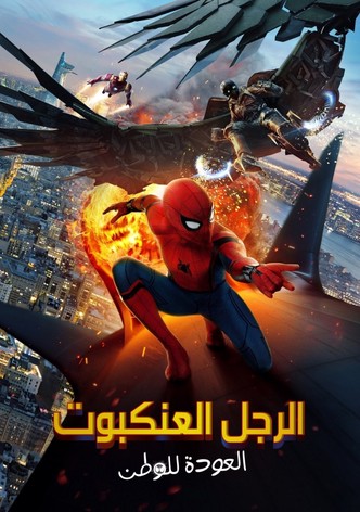 الرجل العنكبوت: العودة للوطن