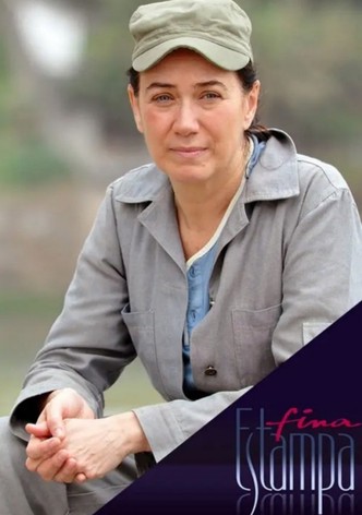 Especial Fina Estampa