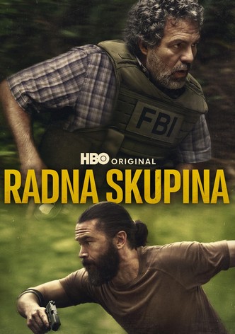 Radna skupina