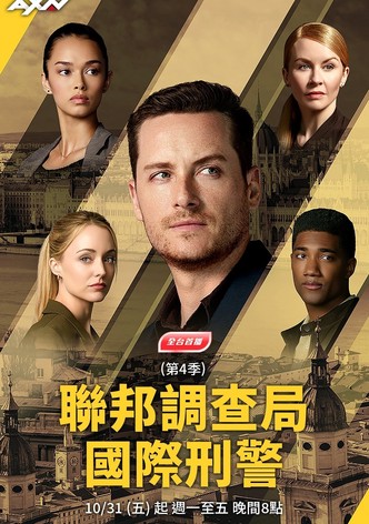 聯邦調查局: 國際刑警