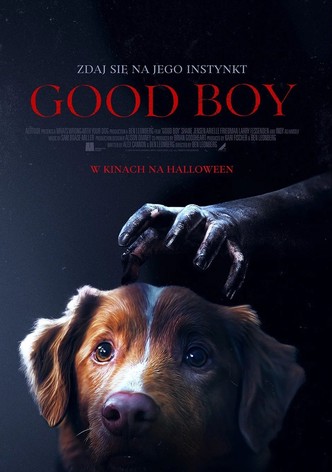Good boy