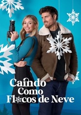 Falling Like Snowflakes