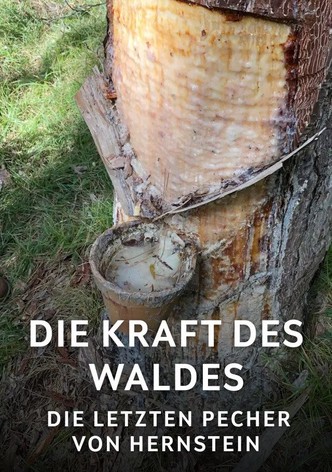 Die Kraft des Waldes - Die letzten Pecher von Hernstein