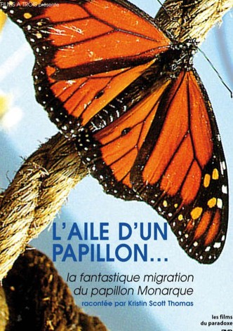 L'Aile d'un papillon...