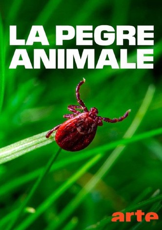 La pègre animale, la vie secrète des parasites