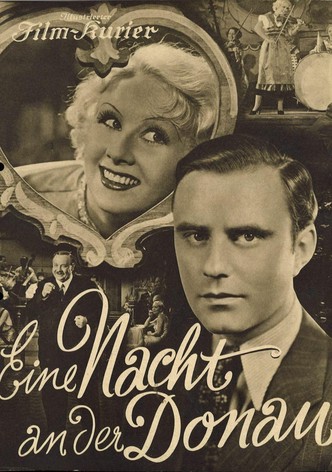 Eine Nacht an der Donau