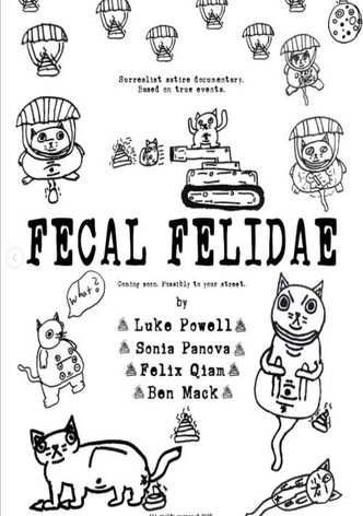 Fecal Felidae