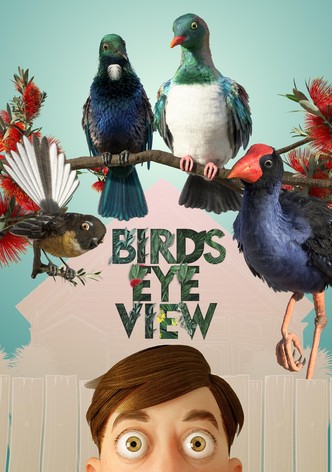 Bird's-Eye View