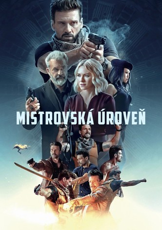 Mistrovská úroveň