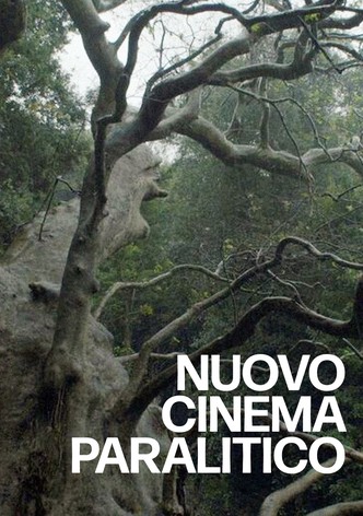 Nuovo cinema paralitico