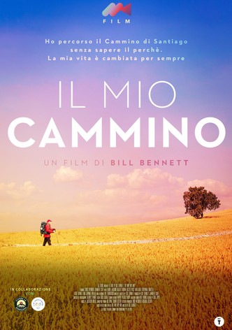 Il mio cammino