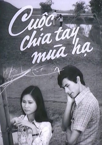 We Break Up In Summer