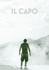 Il capo