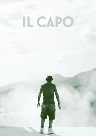 Il capo