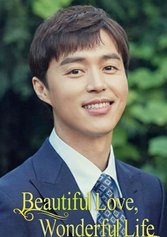 Beautiful Love, Wonderful Life