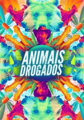 Animais Drogados