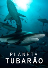 Planet Shark