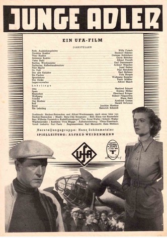 Junge Adler