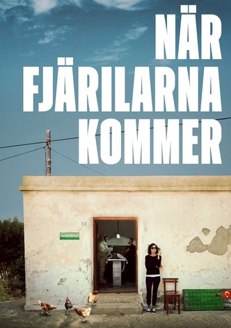 När fjärilarna kommer