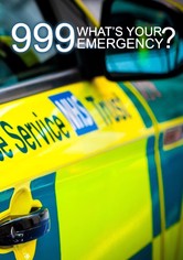 999: What's Your Emergency? - Season 11
