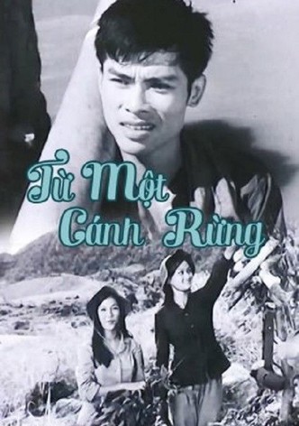 From The Same Forests