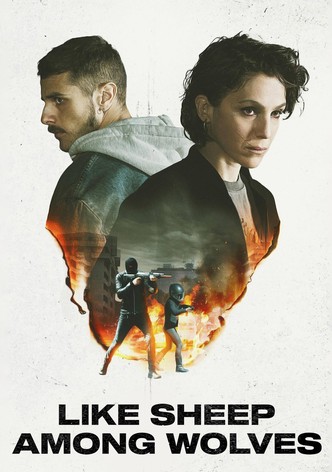 Like Sheep Among Wolves