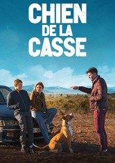 Chien de la casse