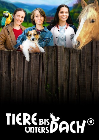 Tiere bis unters Dach