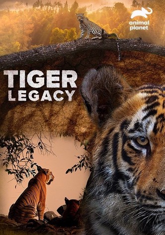 Tiger Legacy