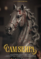 Cam Sehpa