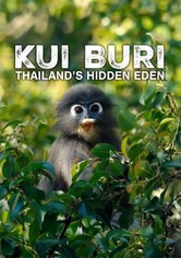 Kui Buri: Thailand's Hidden Eden