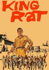 King Rat