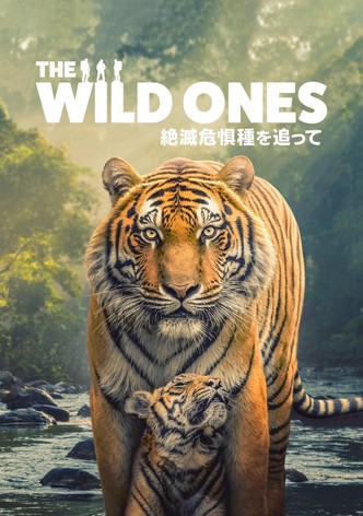 The Wild Ones 絶滅危惧種を追って