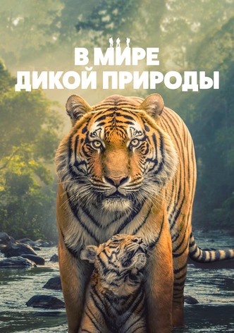 В мире дикой природы