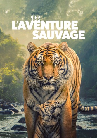 L’aventure sauvage - Saison 1
