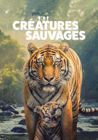 L’Aventure sauvage