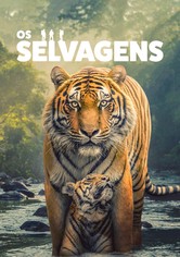 Os Selvagens - Temporada 1