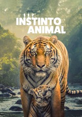 Instinto animal
