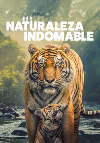 Naturaleza indomable - Temporada 1