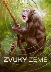 Zvuky Zeme