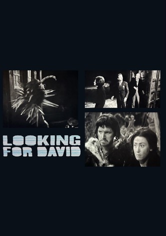 Looking for David