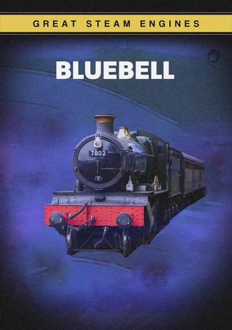Bluebell