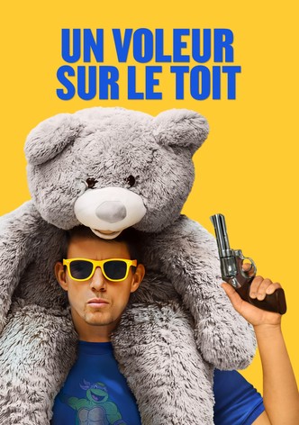 Un voleur sur le toit