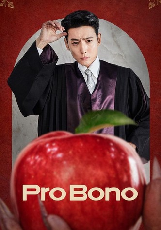 Pro Bono - Staffel 1