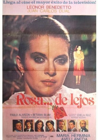 Rosa de lejos