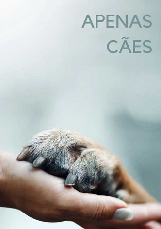 O Melhor Amigo do Homem